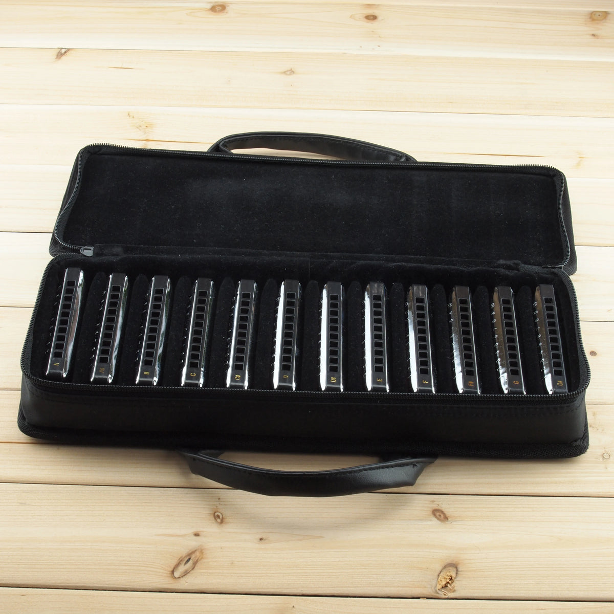 harmonica diatonique sol