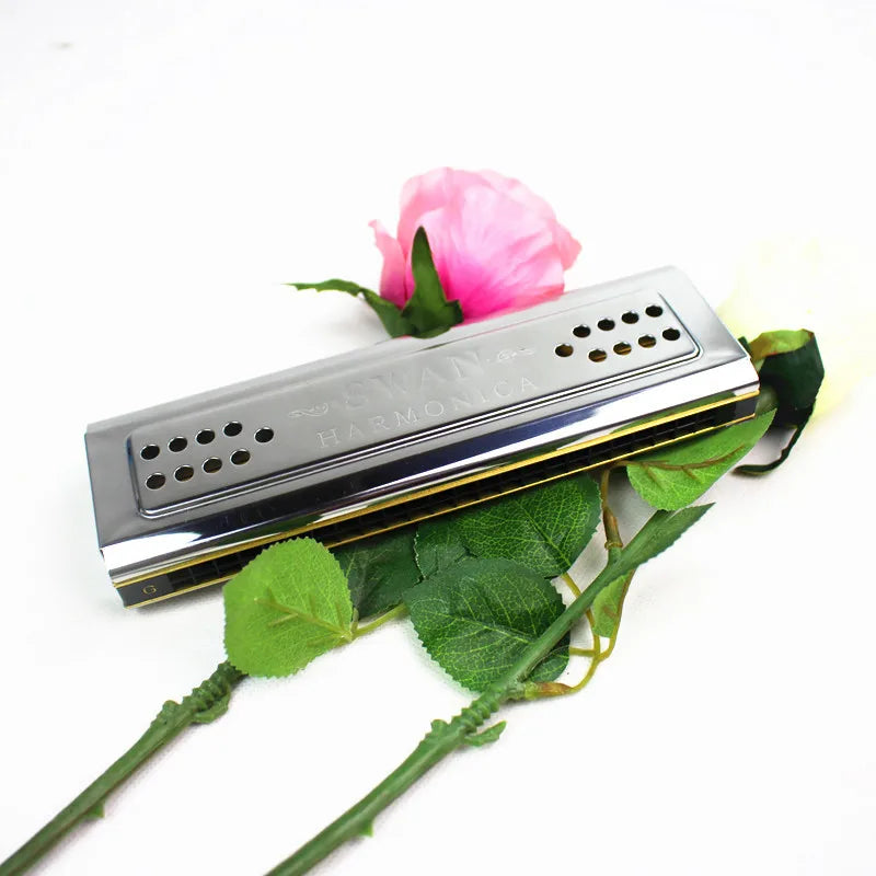 harmonica diatonique tremolo