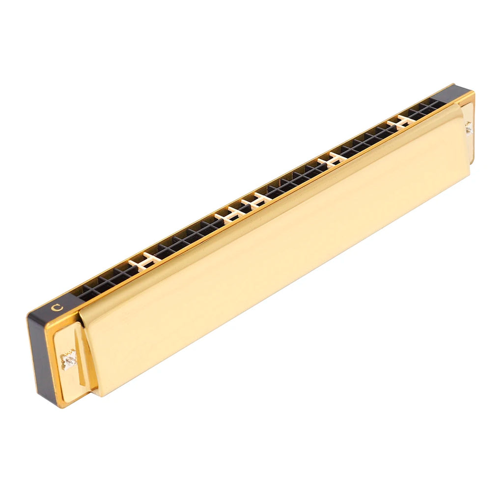 Harmonica C Tremolo 28 Trous