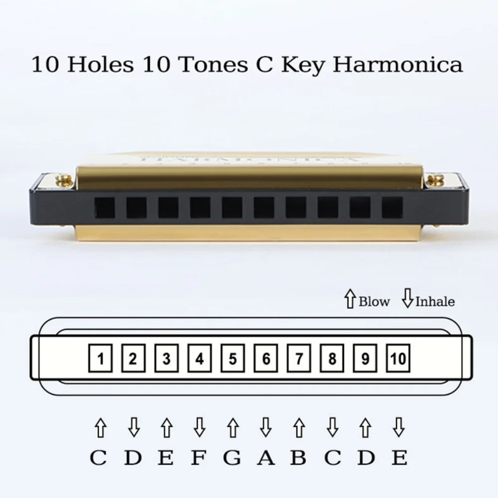 harmonica diatonique debutant