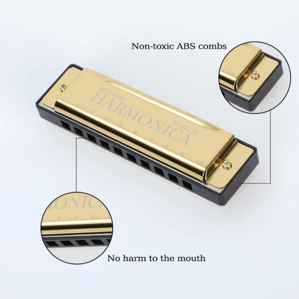 harmonica diatonique debutant