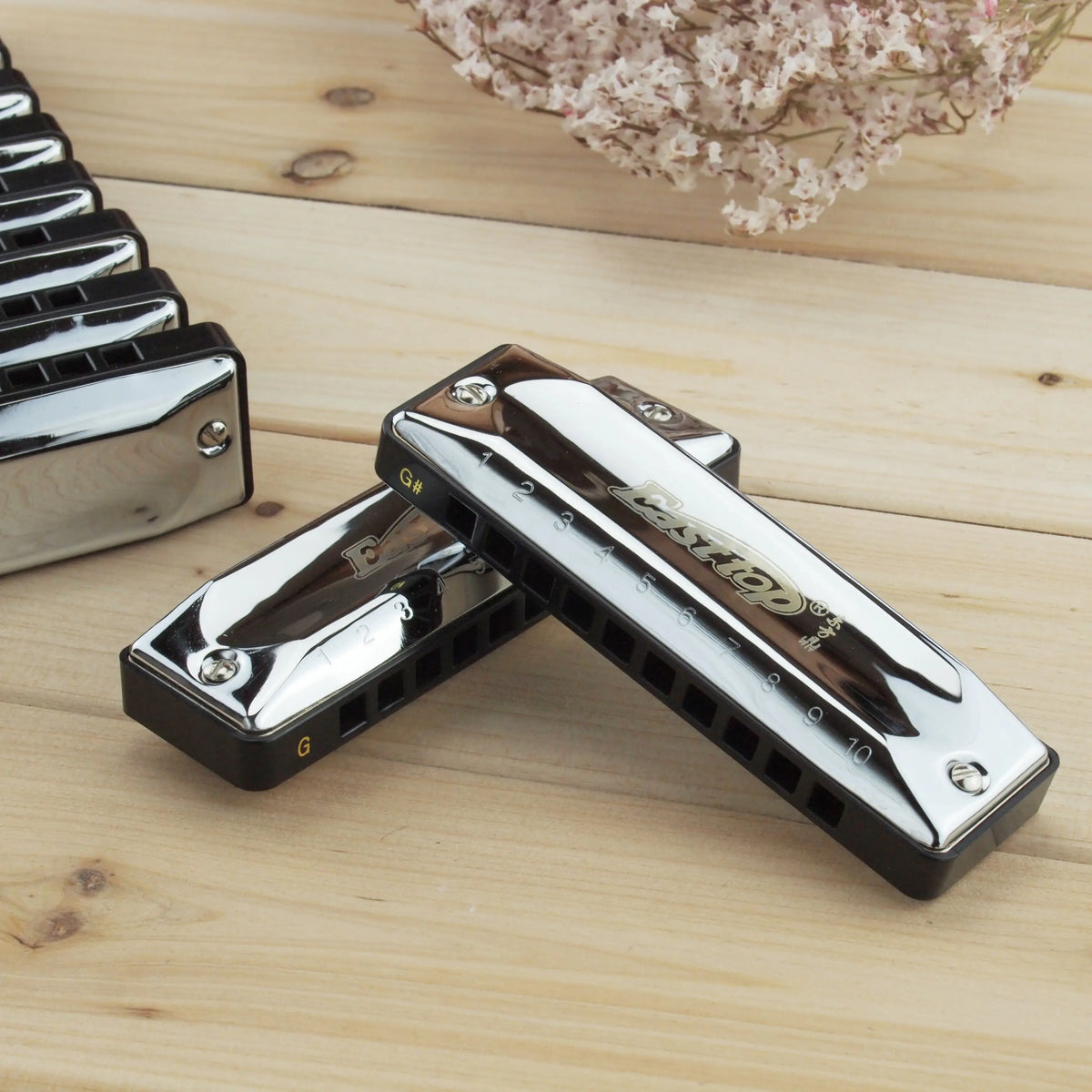 harmonica diatonique sol