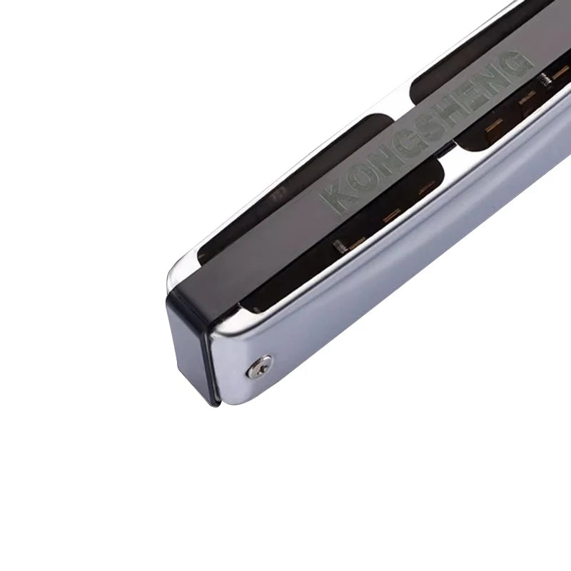 Harmonica Do débutant Bleu