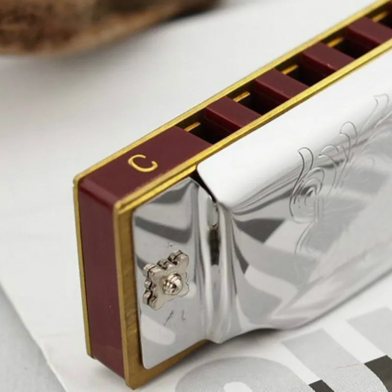 harmonica diatonique professionnel