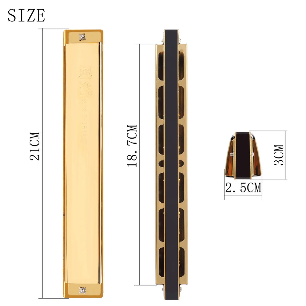 Harmonica C Tremolo 28 Trous