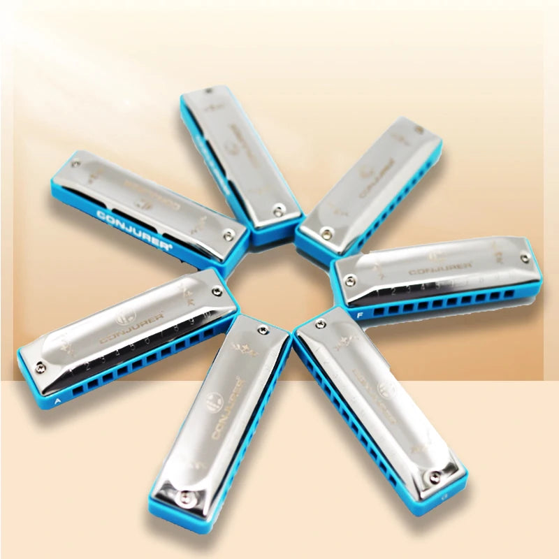 Harmonica Set Blues Diatonique C