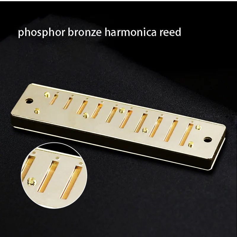 harmonica debutant blues