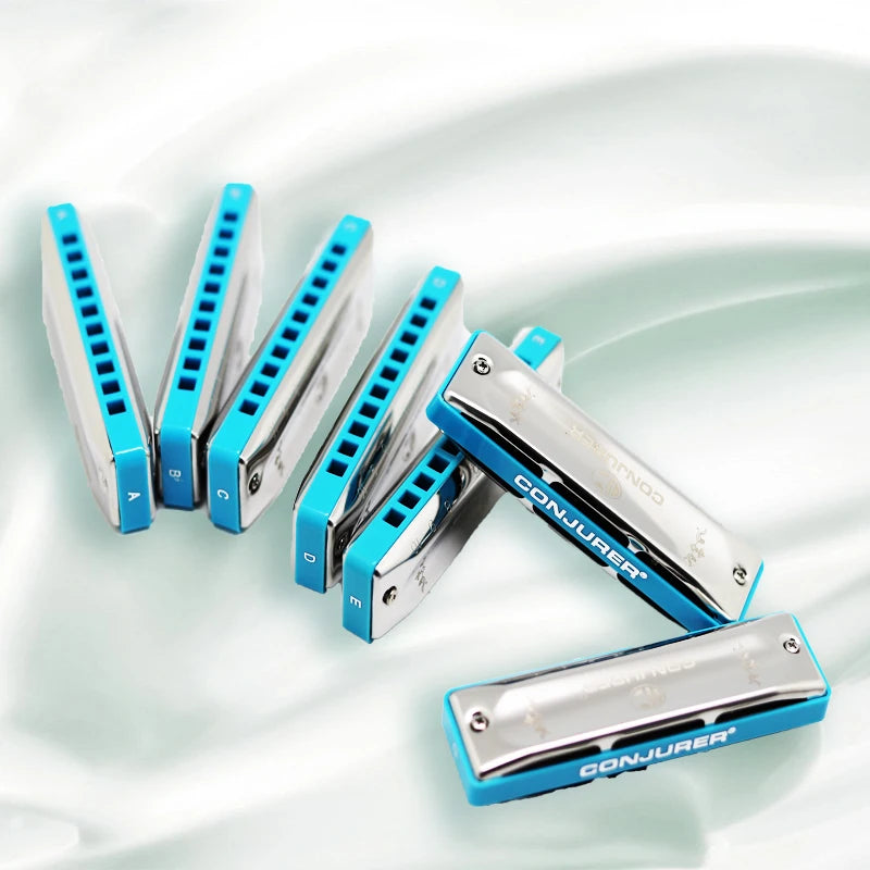 Harmonica Set Blues Diatonique C