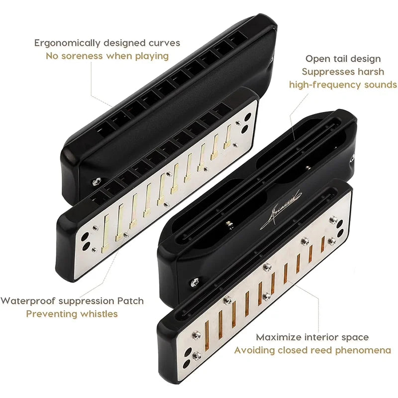 Harmonica Blues Diatonique Pro C