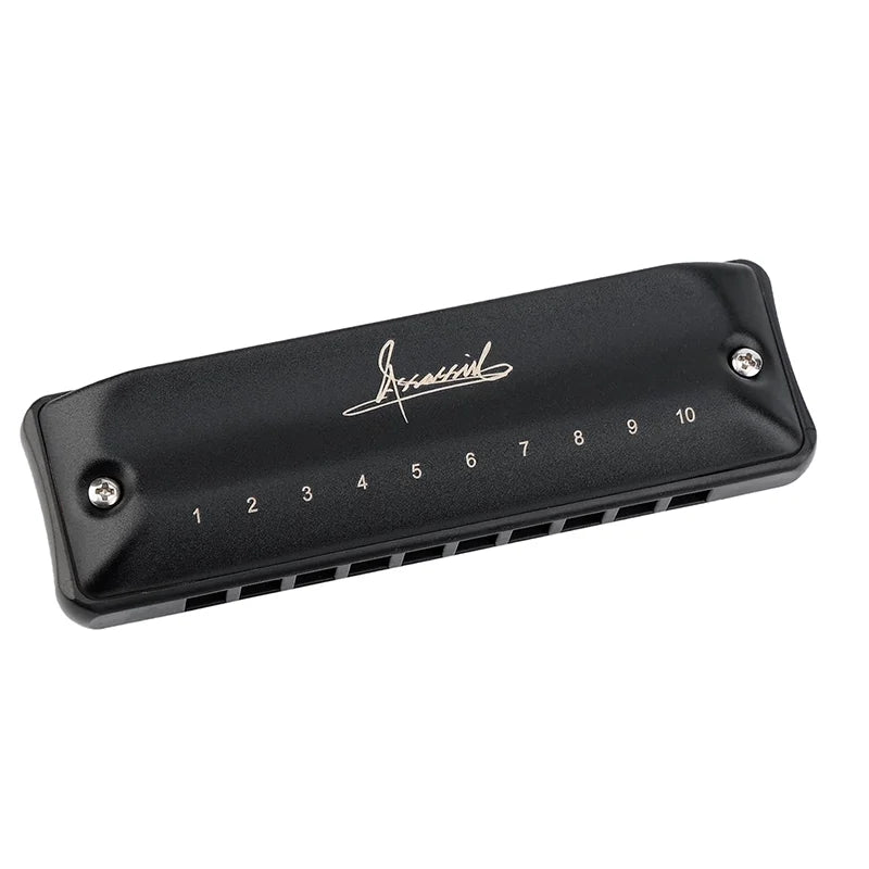 Harmonica Blues Diatonique Pro C