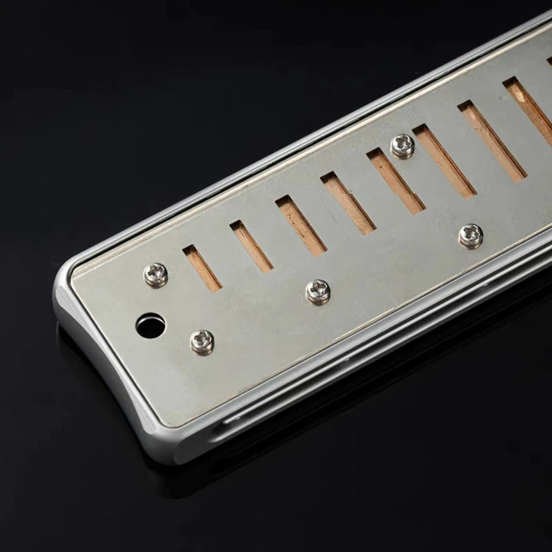 Harmonica Blues Professionnel C