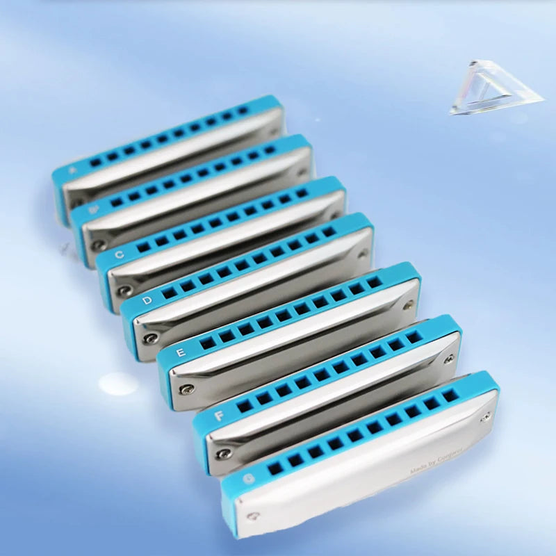 Harmonica Set Blues Diatonique C