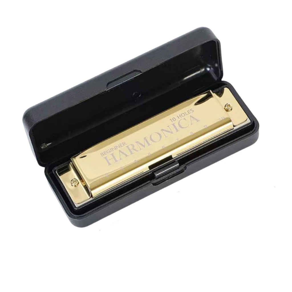 Harmonica Diatonique C Black