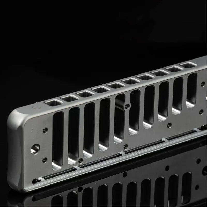 Harmonica Blues Professionnel C